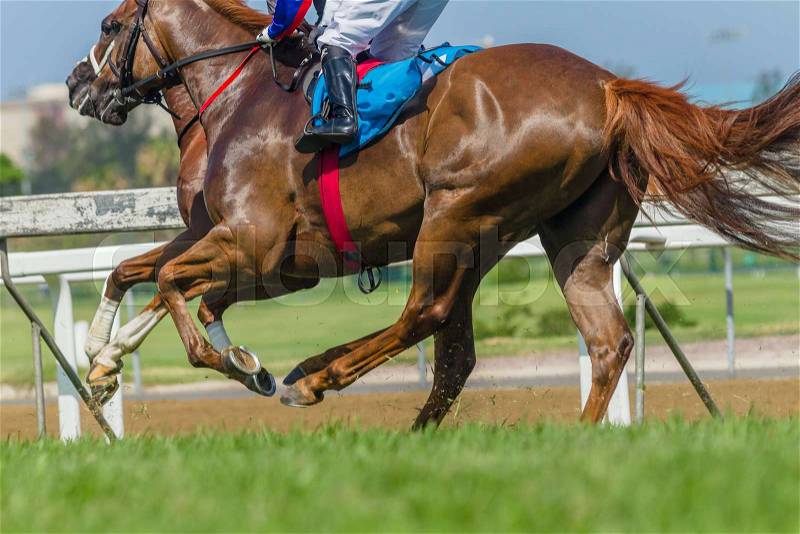 Race horses jockey\'s running grass track closeup animal bodies action, stock photo