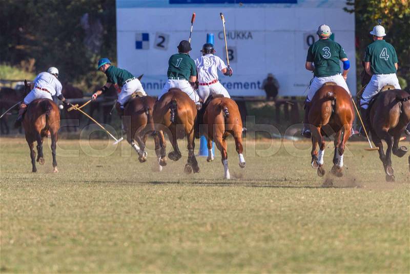Polo riders players horses ponys game action equestrian sport, stock photo