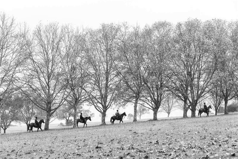 Autumn race horses riders going to stables in scenic training landscape with trees dry leaves scattered on fields, stock photo
