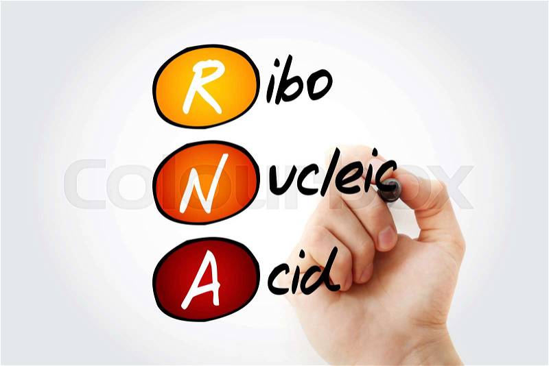 RNA - Ribonucleic acid, acronym concept background, stock photo
