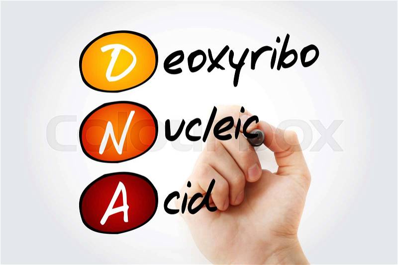 DNA - Deoxyribonucleic Acid, acronym background, stock photo