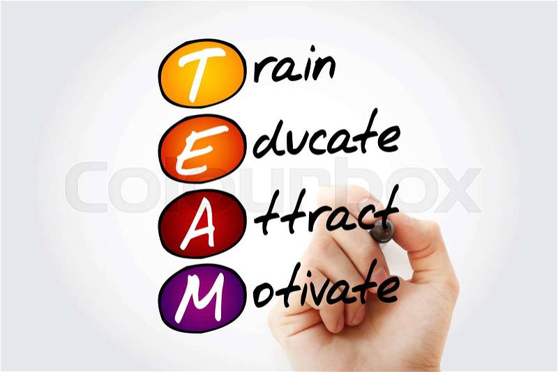 TEAM - Train, Educate, Attract, Motivate, acronym business concept with marker, stock photo