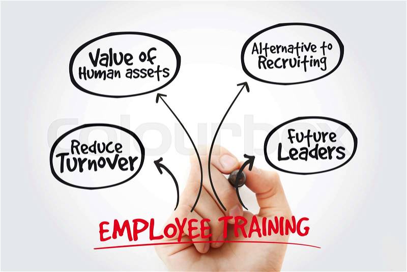 Hand writing Employee training with marker, business concept strategy mind map, stock photo