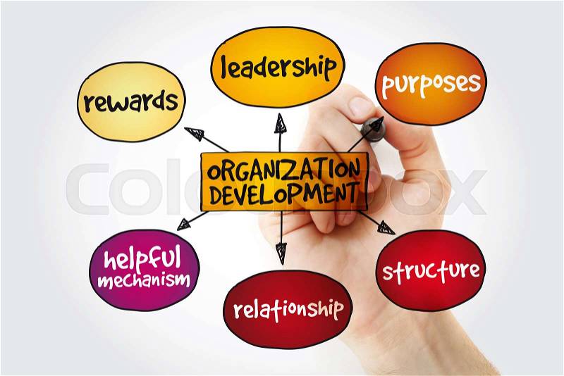 Organization development mind map with marker, business concept background, stock photo