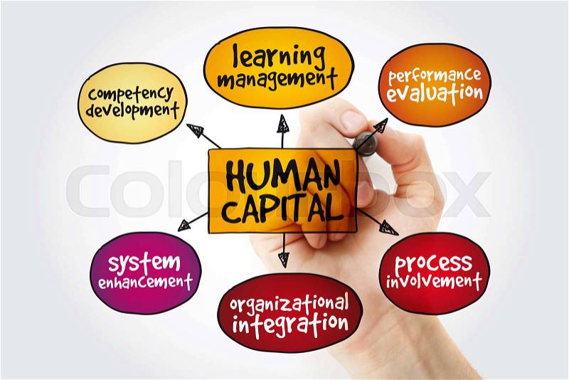 Human capital mind map with marker, business management strategy concept, stock photo