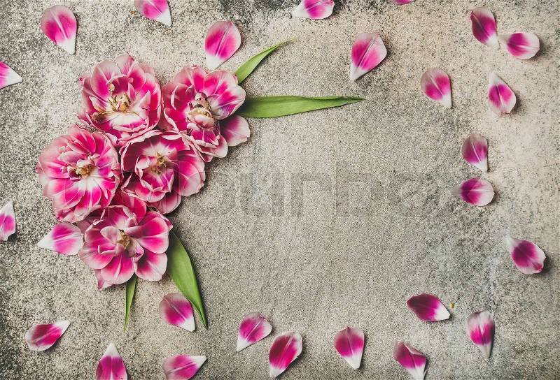 Flat-lay of pattern frame made of pink tulip flower petals over rough grey concrete background, top view, copy space. Saint Valentines or Lovers Day holiday concept, stock photo