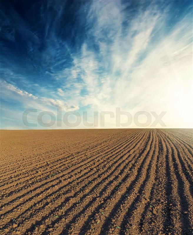 Black plowed field and sunset in blue sky with clouds, stock photo
