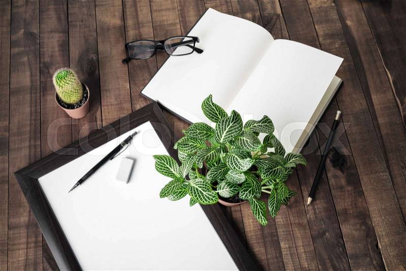 Blank book, photo frame, stationery and plants on wooden background, stock photo