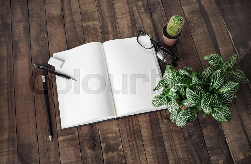 Blank book, stationery and plants on wooden background. Responsive design mock up, stock photo