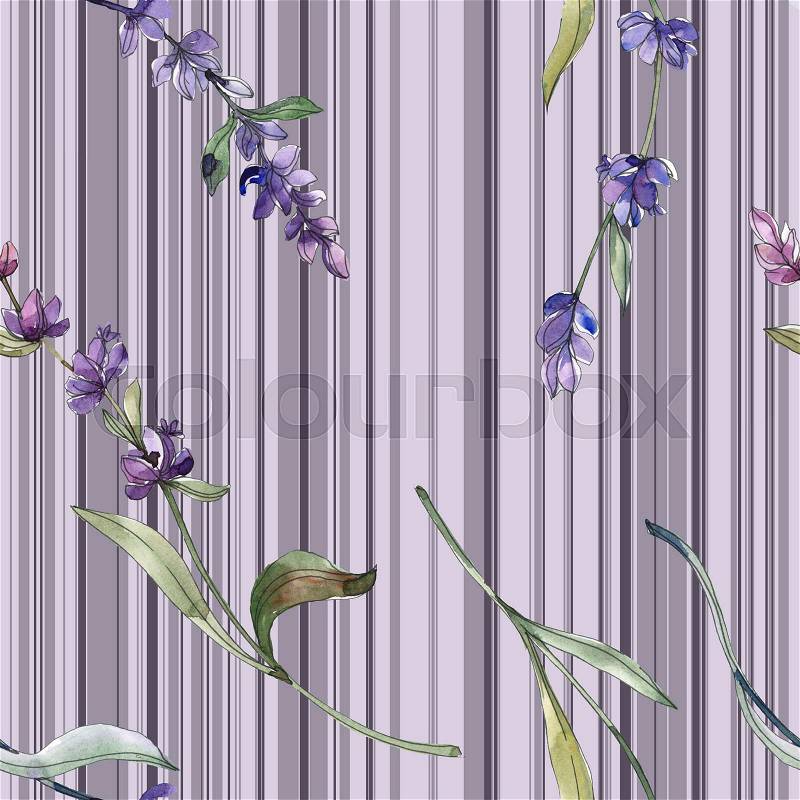 Purple lavender floral botanical flower. Wild spring leaf isolated. Watercolor illustration set. Watercolour drawing fashion aquarelle. Seamless background pattern. ..., stock photo