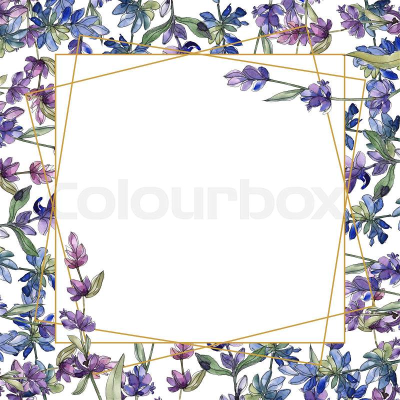 Purple lavender. Floral botanical flower. Wild spring leaf isolated. Watercolor illustration set. Watercolour drawing fashion aquarelle. Seamless background pattern. ..., stock photo