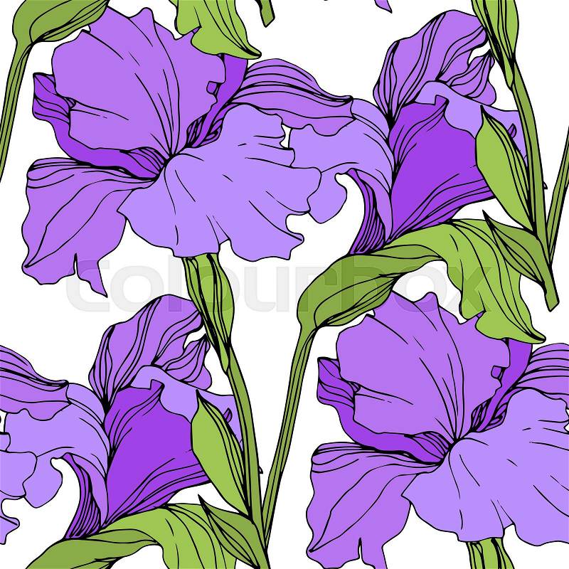 Vector Purple and yellow iris floral botanical flower. Wild spring leaf wildflower isolated. Engraved ink art. Seamless background pattern. Fabric wallpaper print ..., vector