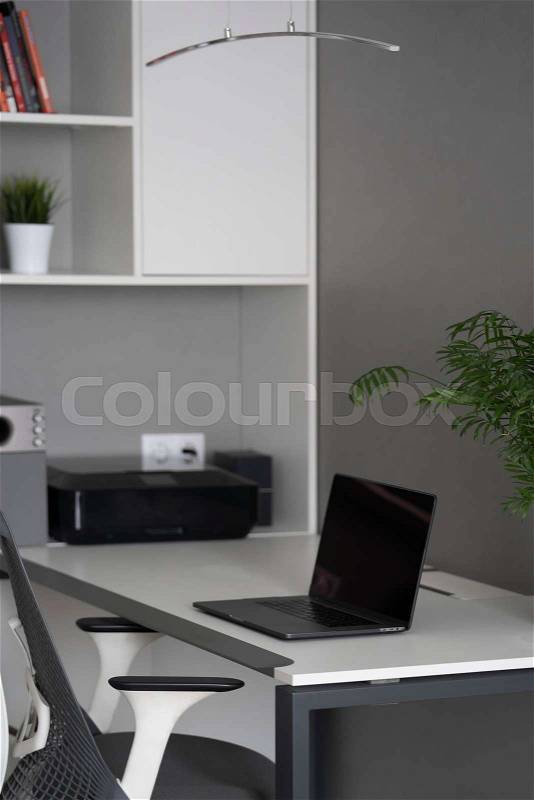 Well-disigned ergonomics of work place in the office with natural daylighting. Modern new black notebook, office equipment, green flowerpots on a table, stock photo