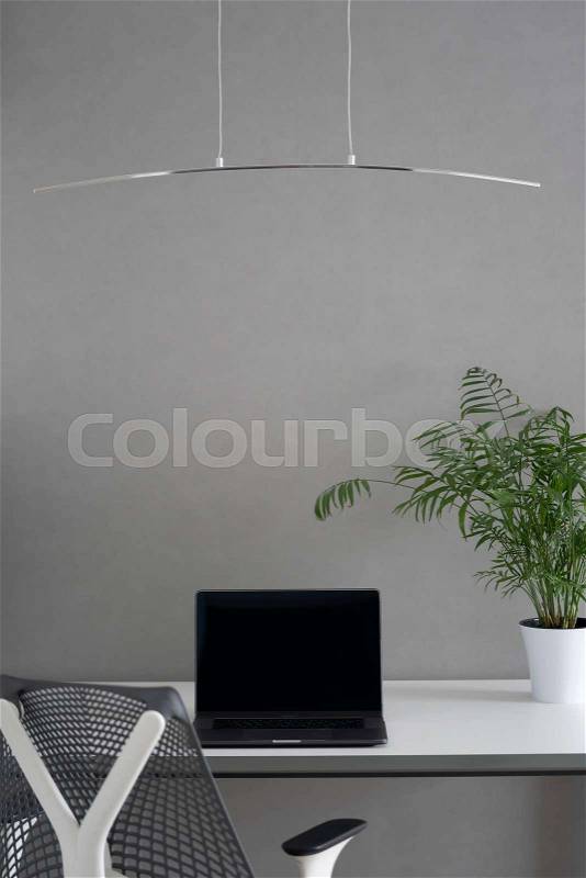 Well-organized ergonomics of work place in the office with natural daylighting. Modern computer table with new laptop and greenery pot at a workspace. Concept green ..., stock photo