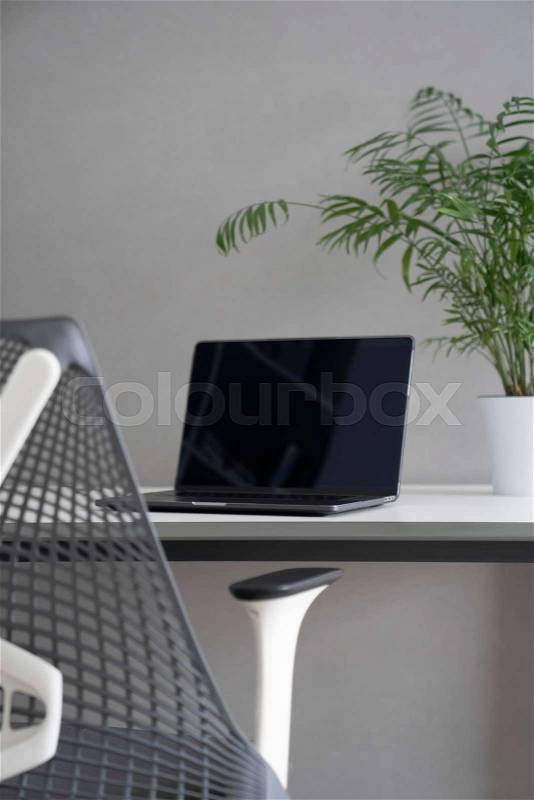 Comfortable workspace - computer desk, orthopaedic chair and natural daylight. New modern laptop with black screen and green flowerpot on an office table. Green ..., stock photo