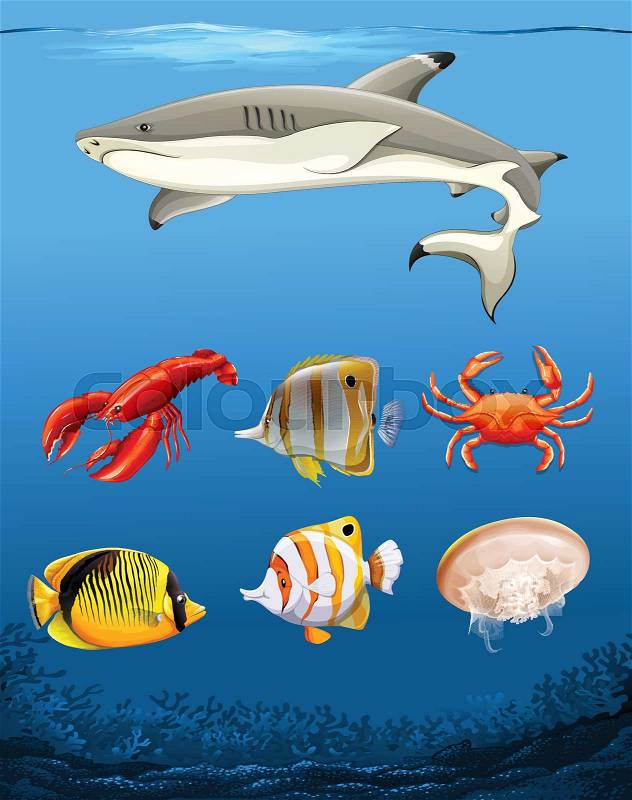 Many fish underwater theme illustration, vector