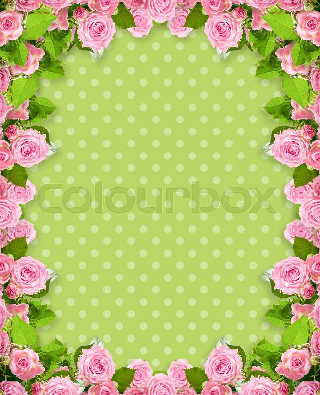 Pink roses frame on polka dots background with place for your photo or text, stock photo