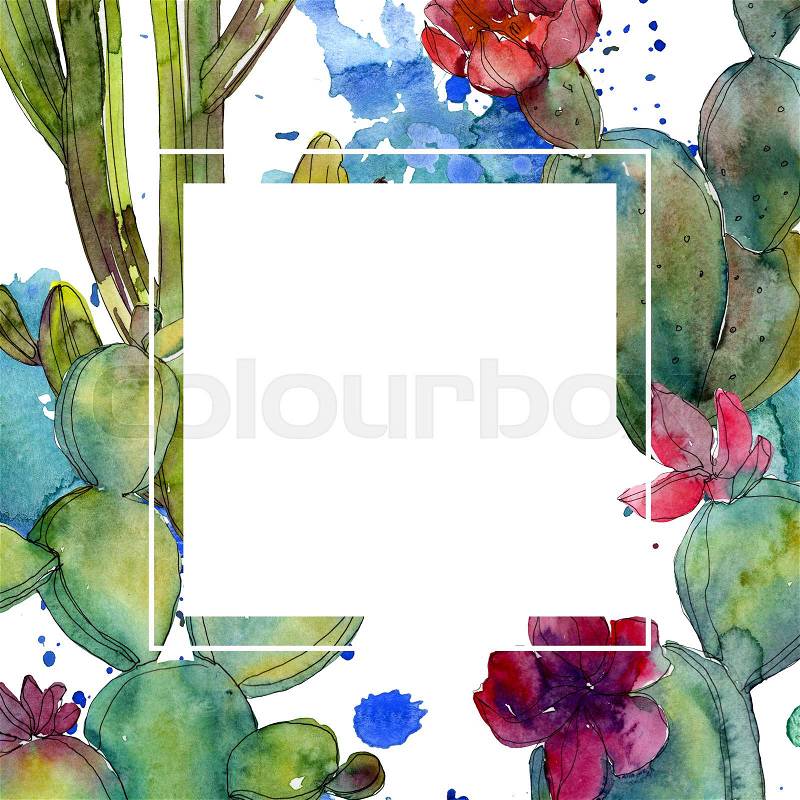 Green cactus floral botanical flower. Wild spring leaf wildflower isolated. Watercolor background illustration set. Watercolour drawing fashion aquarelle. Frame ..., stock photo