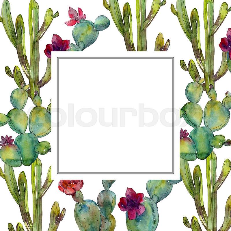 Green cactus floral botanical flower. Wild spring leaf wildflower isolated. Watercolor background illustration set. Watercolour drawing fashion aquarelle. Frame ..., stock photo