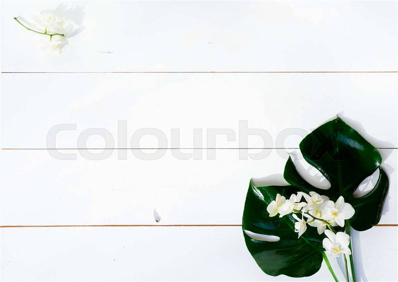 Summer flat lay scenery with tropical leaves on yellow background with copy space, stock photo