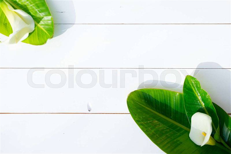 Summer flat lay scenery with tropical palm leaves with calla lilly on white background with copy space, stock photo