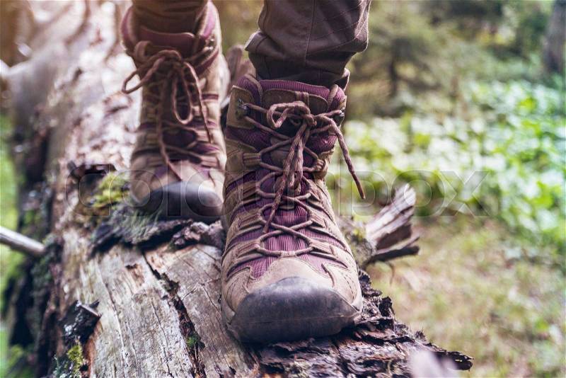 Hiking boots close-up. girl tourist steps on a log, stock photo