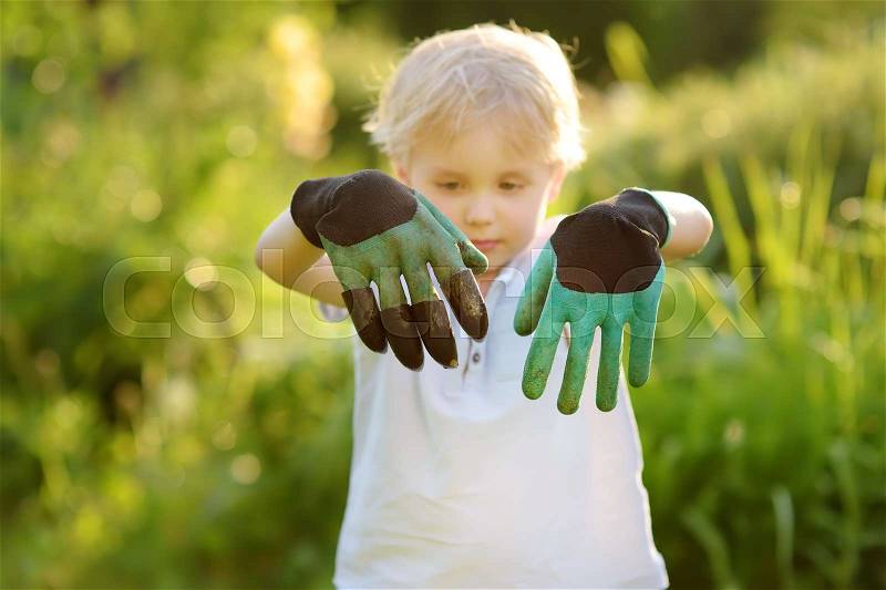 Little boy wearing garden gloves having fun during work in domestic garden. Gardening activity for family with child, stock photo