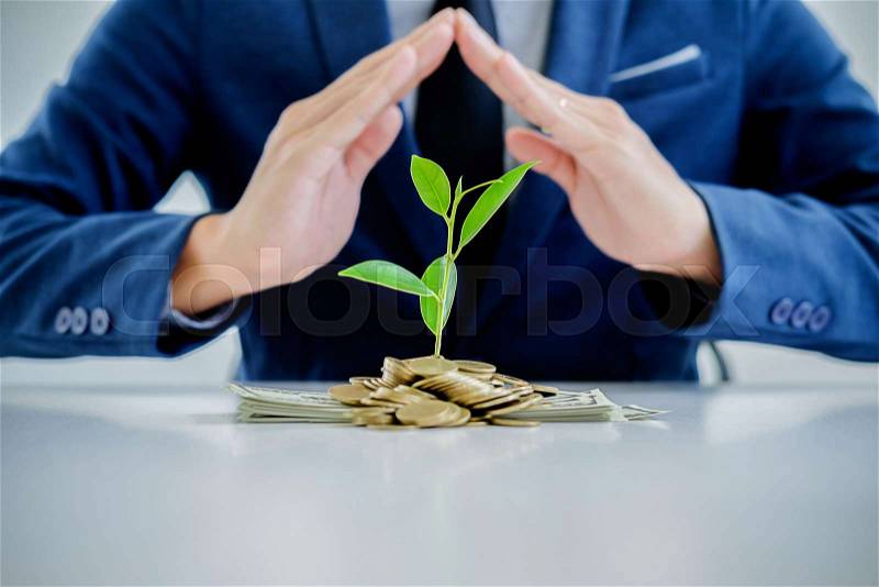 Protect new business start-up concept. Businessman protecting trees growth up on coin and banknote with hands and plant, stock photo