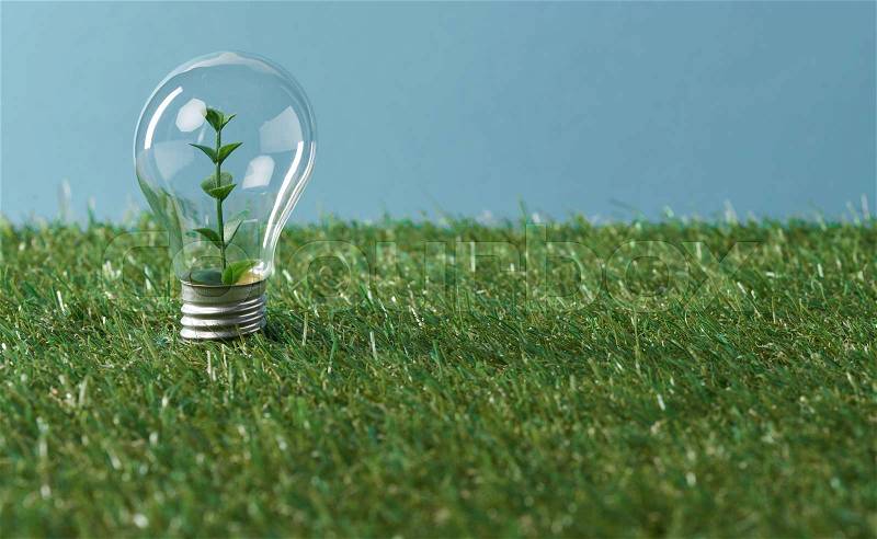 light bulb with plant on green grass and blue background, stock photo