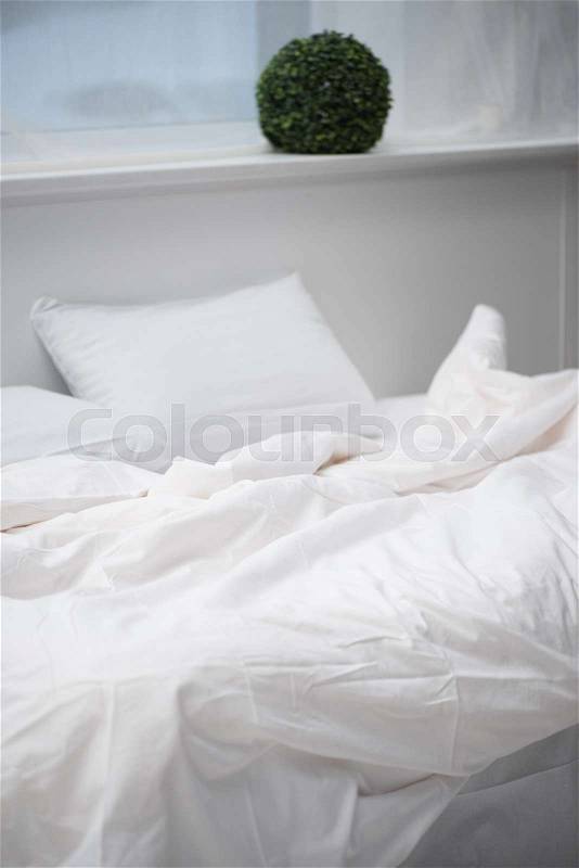 Bedroom with plant, pillow and white blanket on empty bed, stock photo