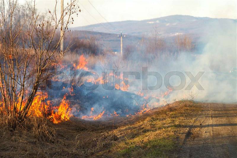 In early spring, fire spreads through dry vegetation, burning everything in its path. Heavy smoke and large fires harm agriculture and cause environmental damage, stock photo