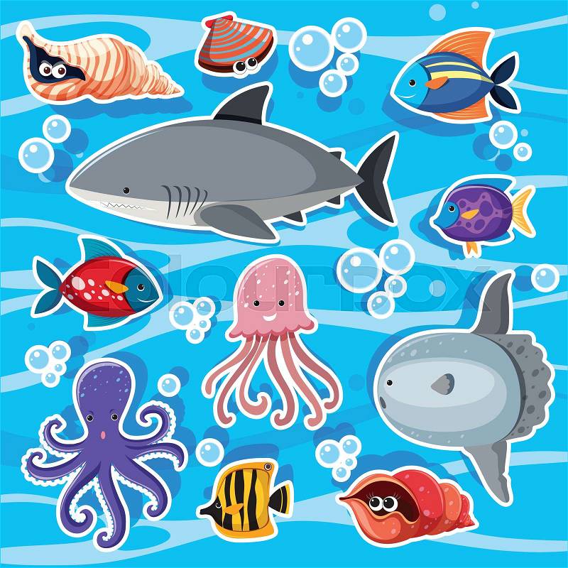 Sticker templates with sea animals underwater illustration, vector