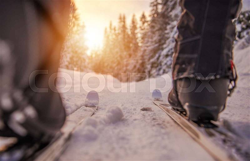 Cross Country Sunset Skiing. Winter Sport. Moving Across Snow Covered Terrain, stock photo