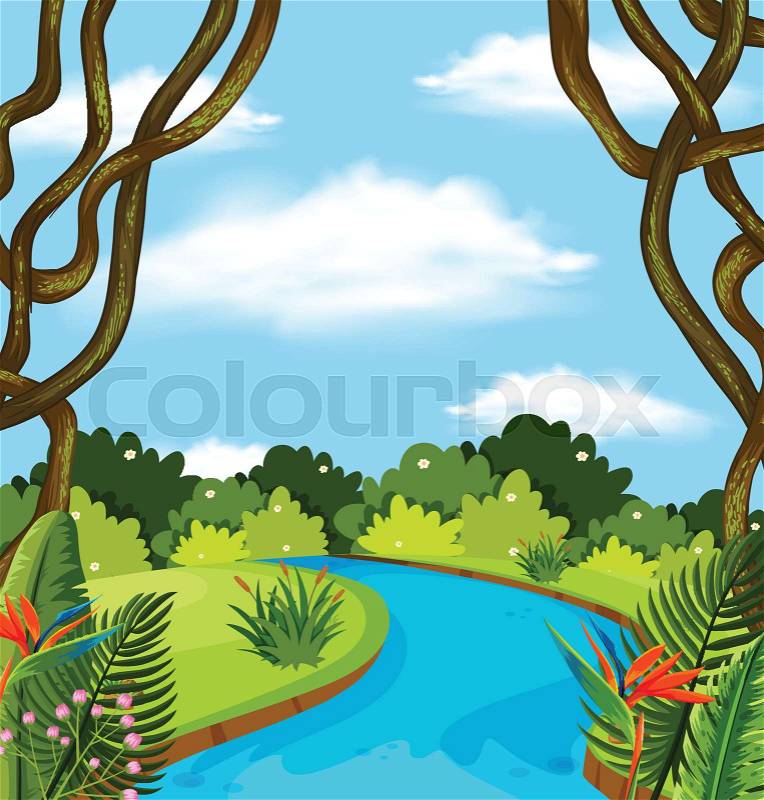 A river in forest landscape illustration, vector