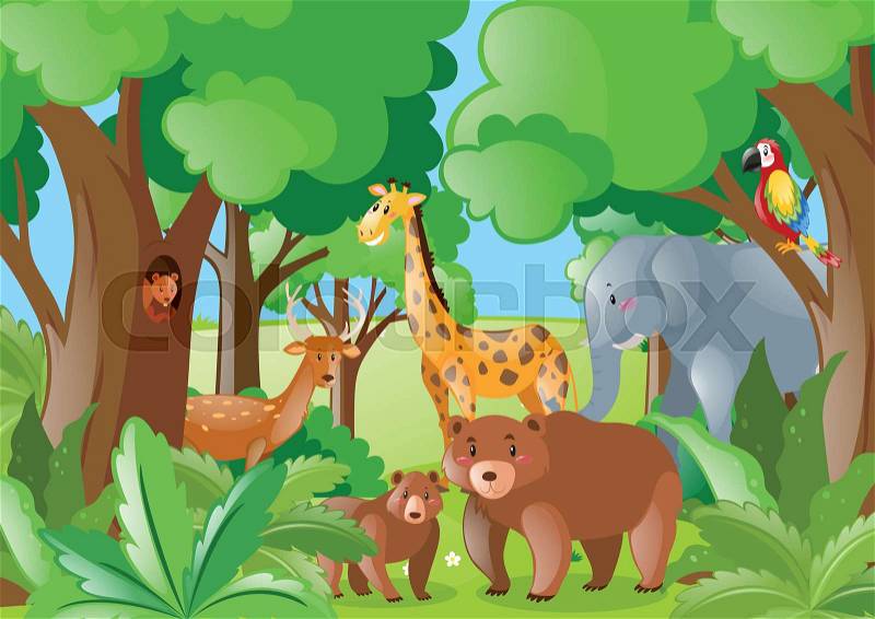 Wild animals in the forest illustration, vector
