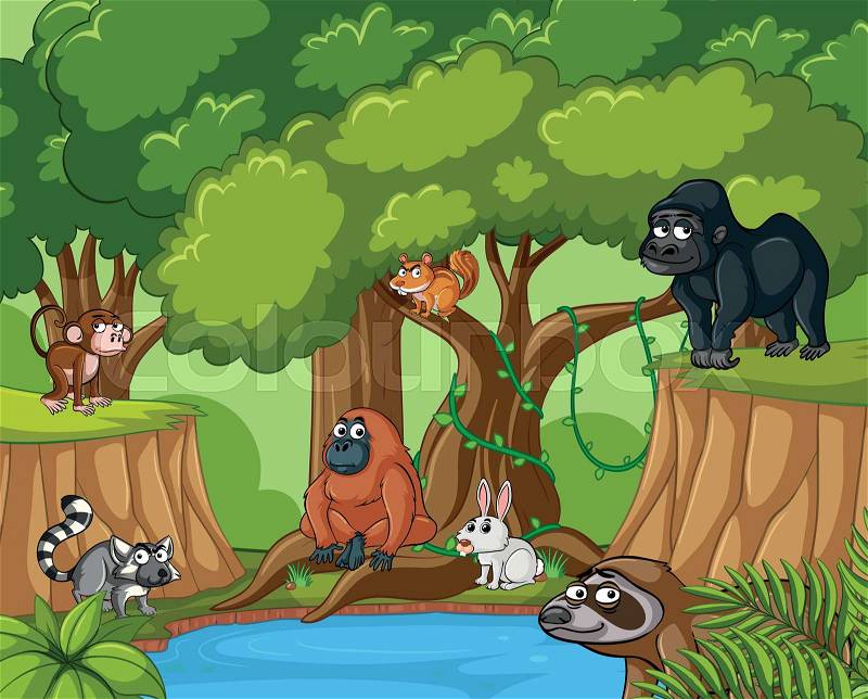 Many wild animals in forest illustration, vector