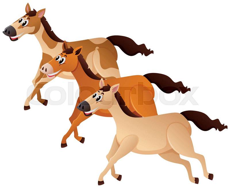 Three horses running in group illustration, vector