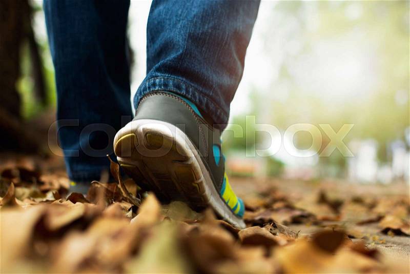 Close up feet of people wearing sneakers and walking in the field during summer, stock photo