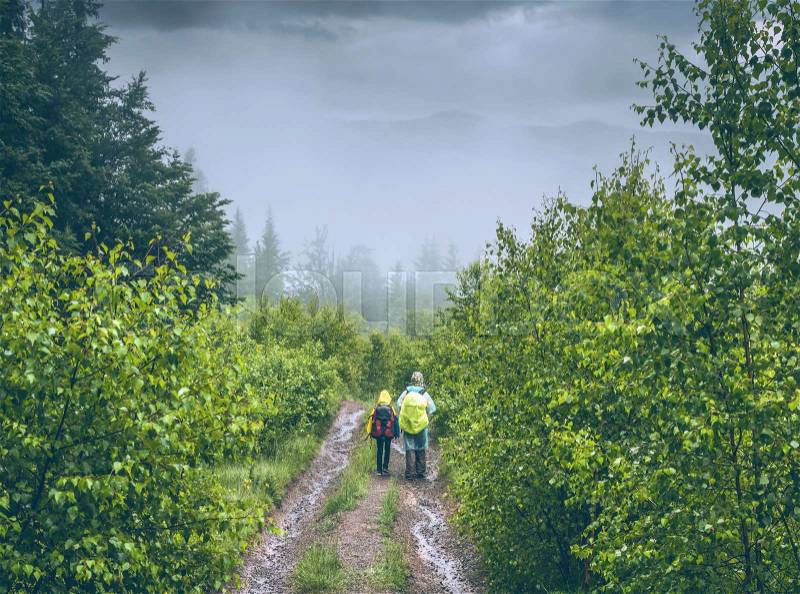 Two hikers on a path throught the forest in the mountains in rainy foggy day. Back view of two hikers man and teenager with backpacks walking on forest trail, stock photo