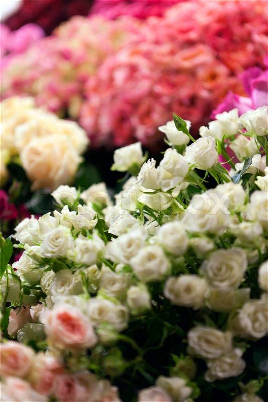 Flowers market, stock photo