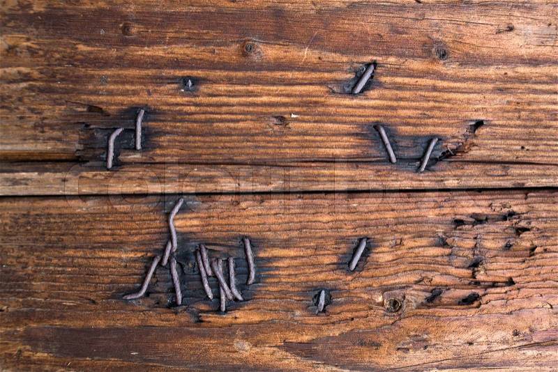 Nails in wood, stock photo