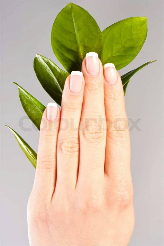 Beautiful hands with French manicure nails, stock photo
