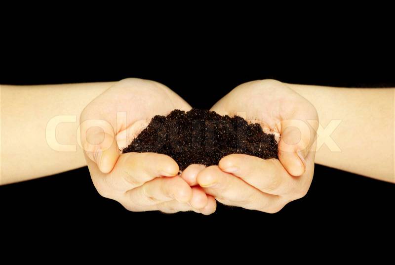 Earth in hands, stock photo