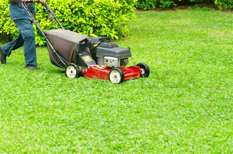 Mowing the lawn, stock photo
