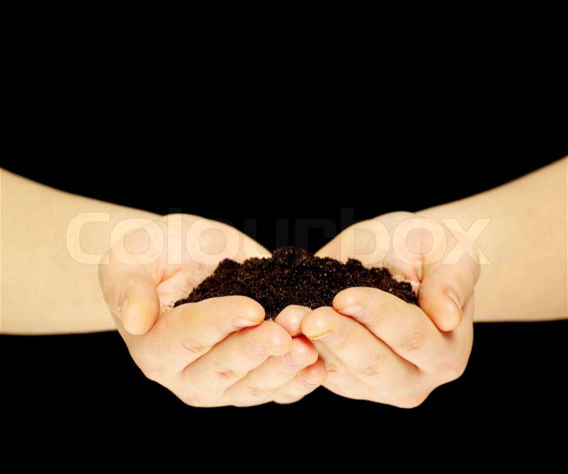 Earth in hands, stock photo