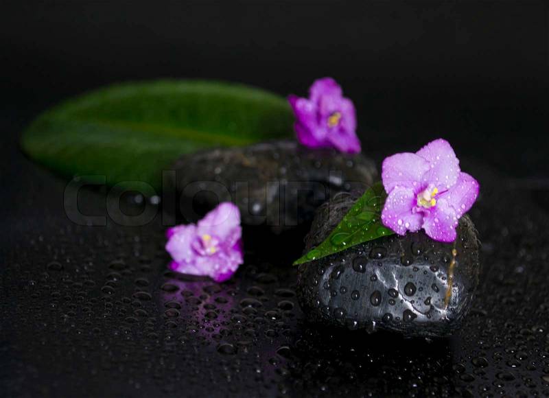 Black stones with leaf, flower and water drops on black background, stock photo