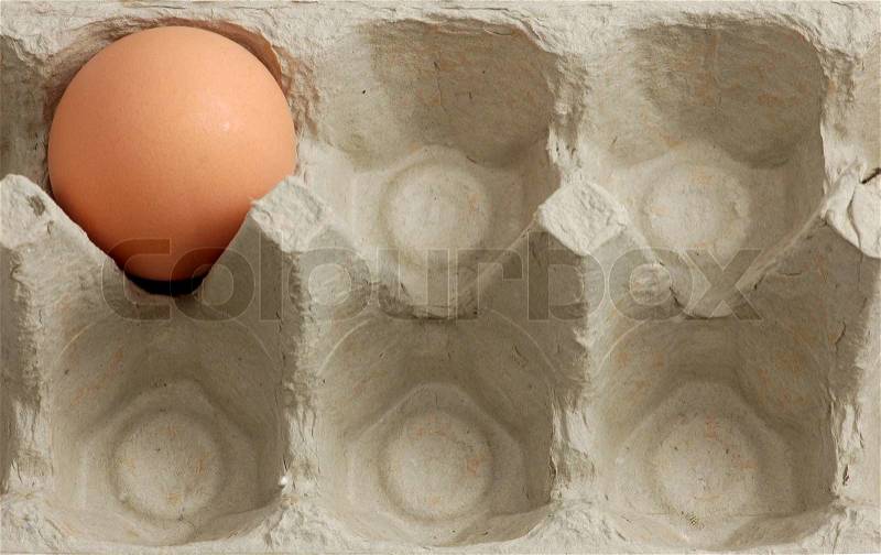 One Egg in the Box, stock photo
