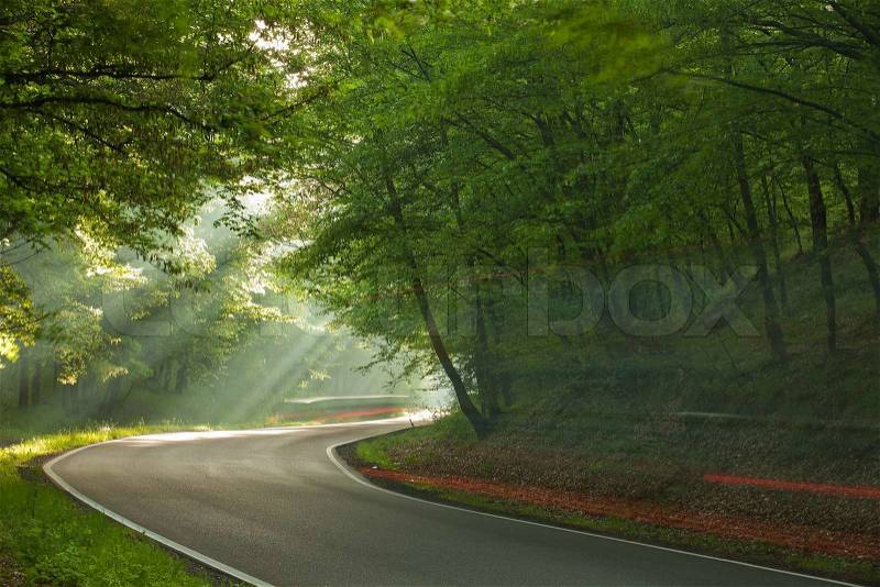 Long exposure on the road in forest in the morning, stock photo