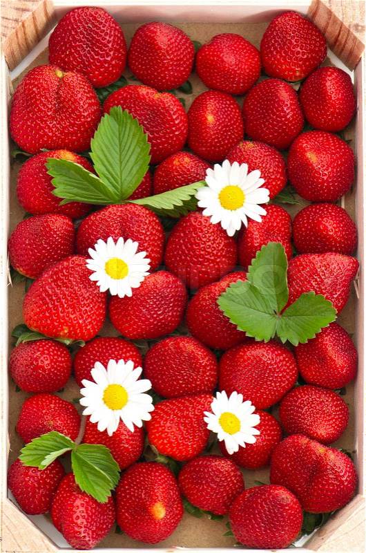 Fresh strawberries with daisy flowers in wooden box, stock photo