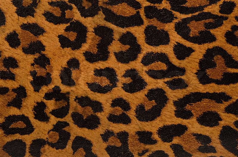 Leopard print pattern, stock photo